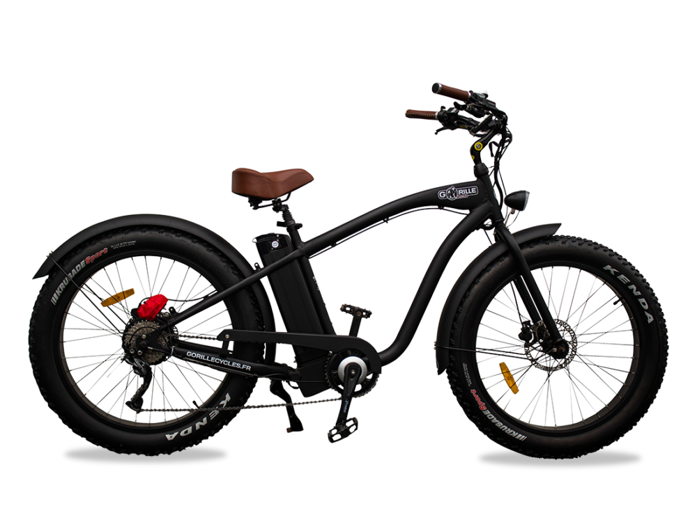 Optez pour le meilleur modèle de vélo électrique