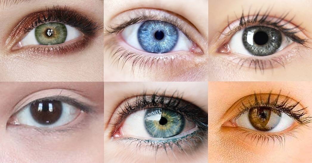 Carte du visage – votre visage reflète votre santé