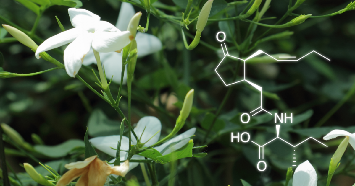 4 utilisations surprenantes de l’acide acétylsalicylique Il y a quelques