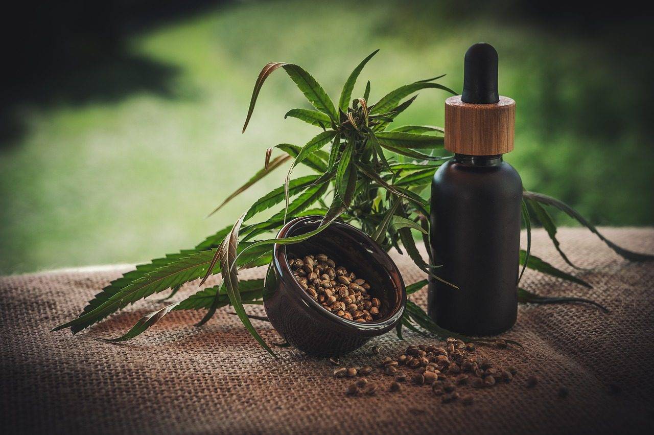 Que faut-il savoir de la graine cannabis autofloraison ?